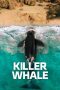 killer-whale