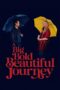 a-big-bold-beautiful-journey