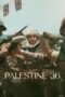 palestine-36