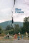 blue-heron